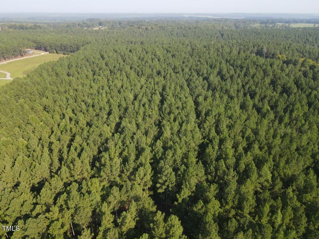 an aerial view of forest