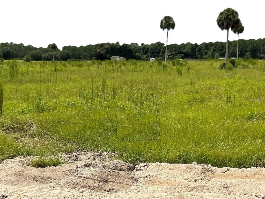 a view of a lake with a yard