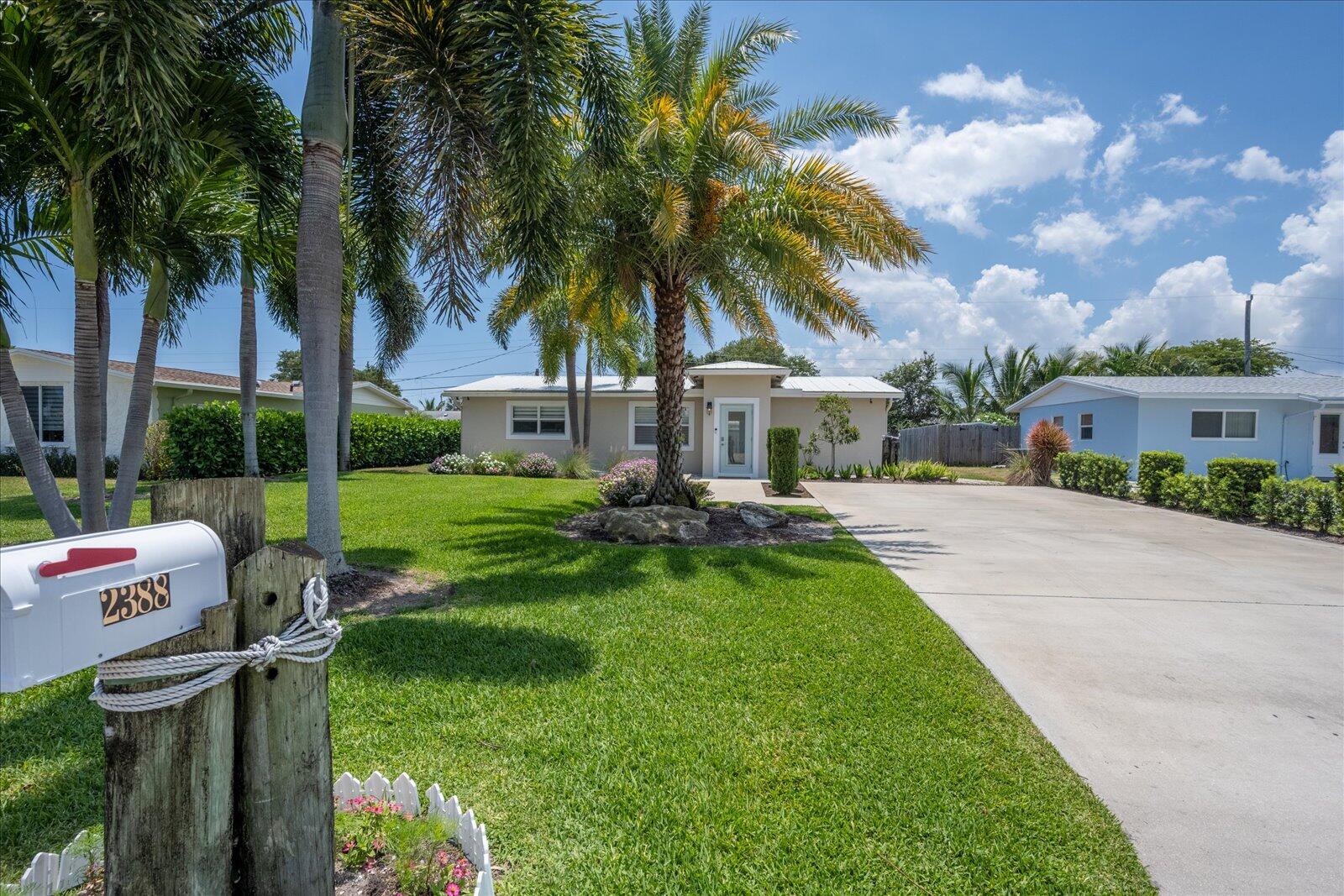 a view of a yard with plants and palm tree