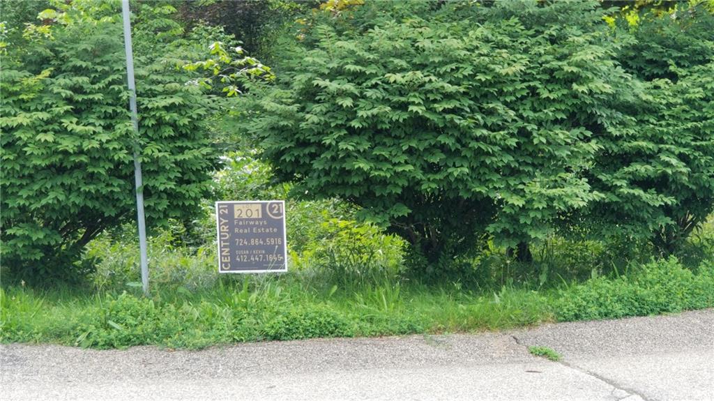 a view of a garden with plants