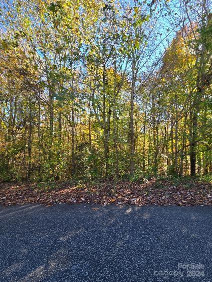 a view of outdoor space and trees