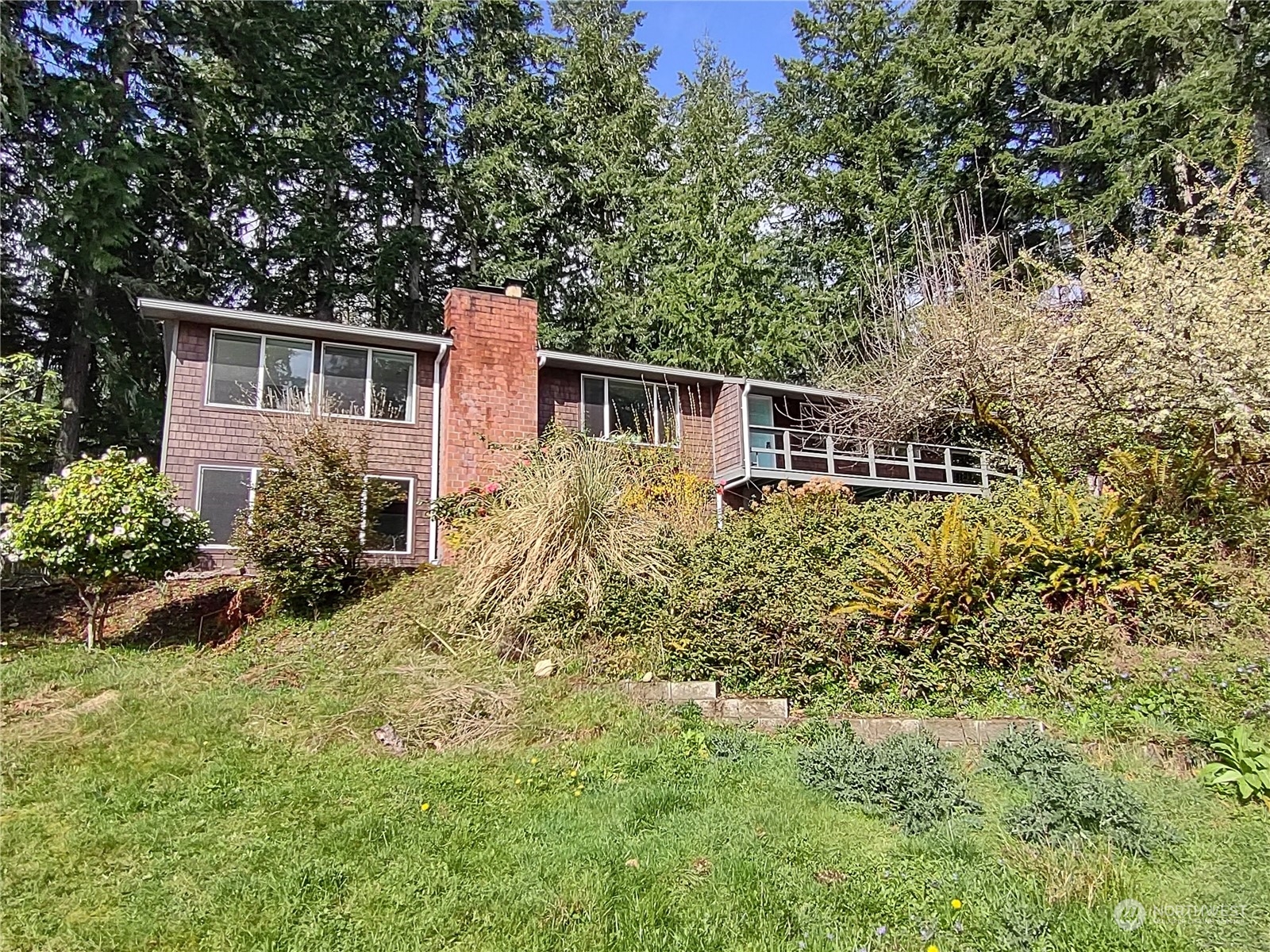 a backyard of a house with plants and large trees