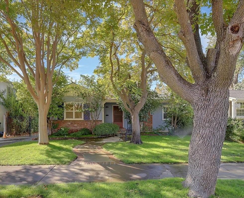 a front view of house with yard and green space