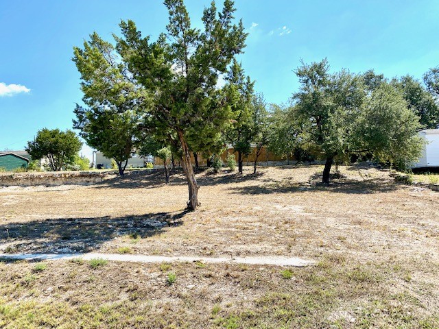 a view of park space with trees