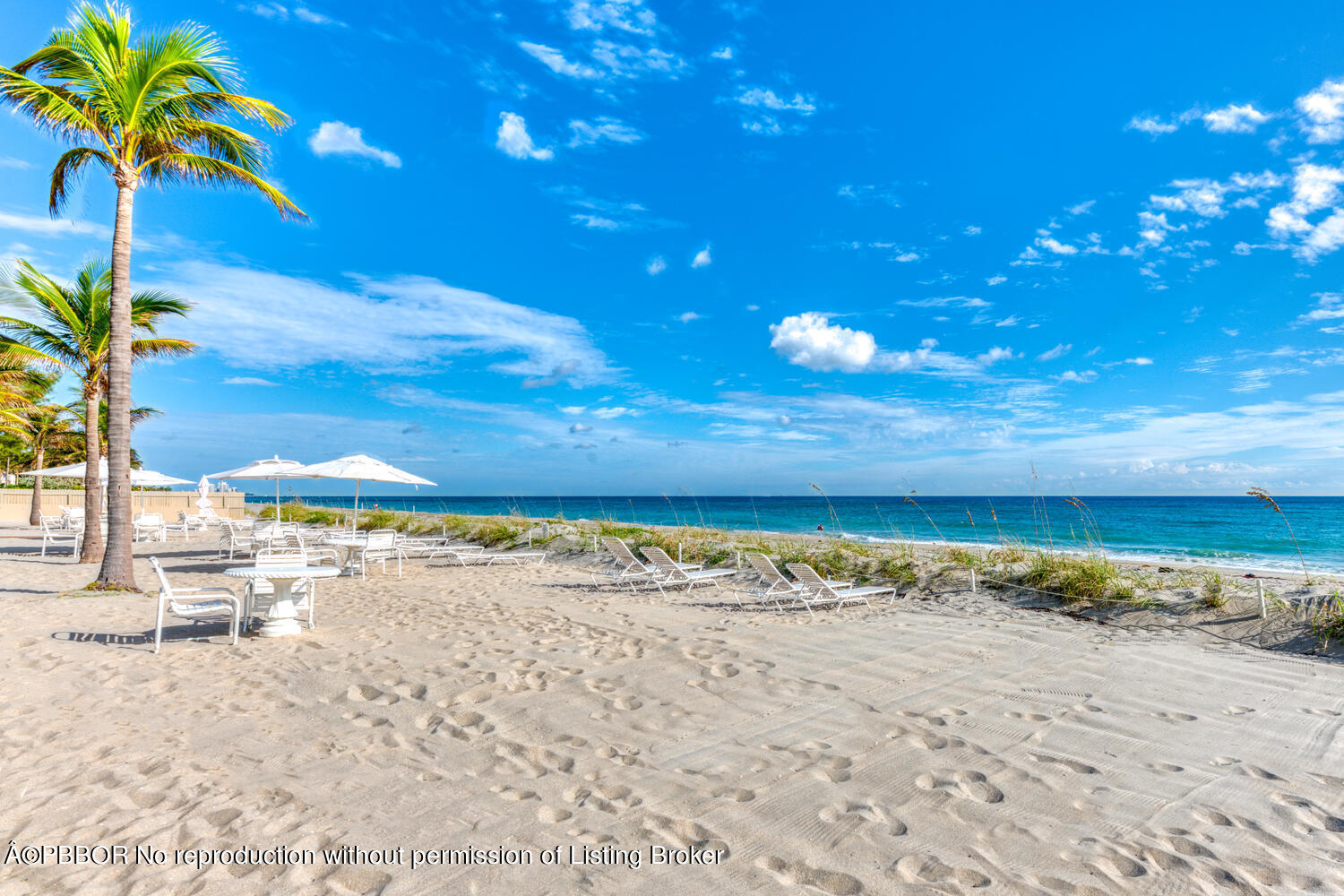 a view of beach and ocean