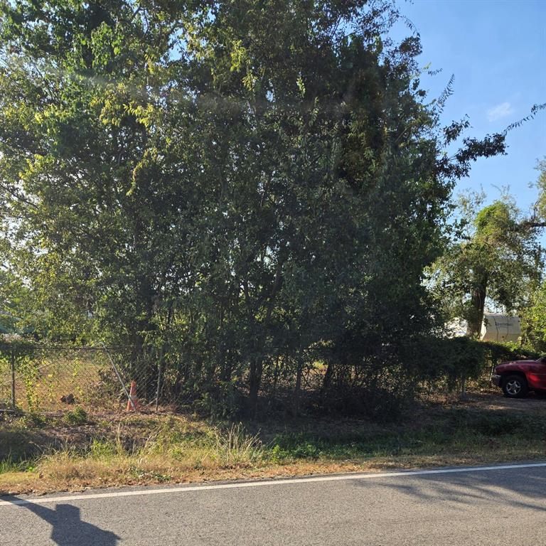 a view of a yard with a tree