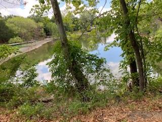 a view of a lake with a yard