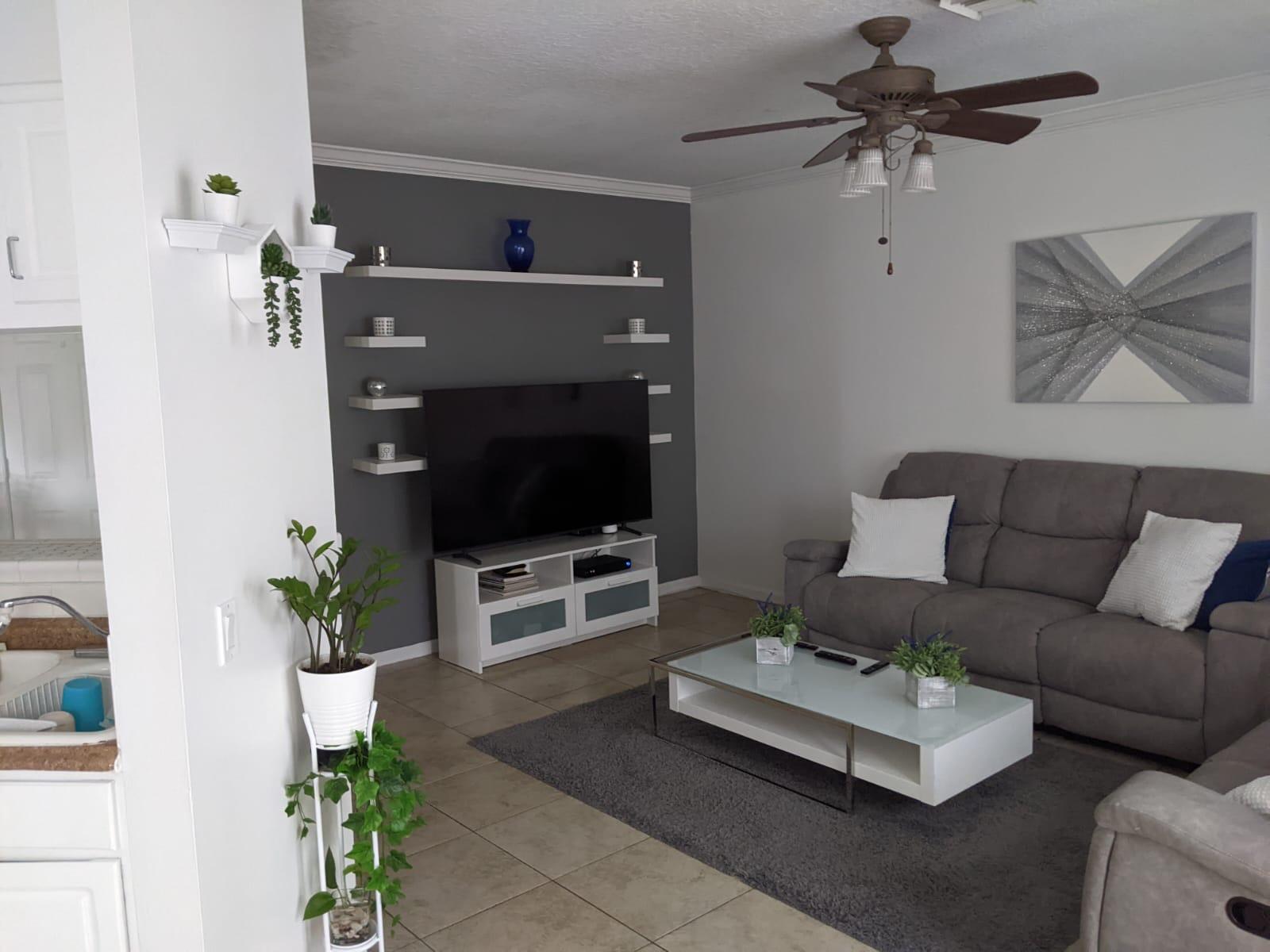 a living room with furniture a potted plant and a flat screen tv