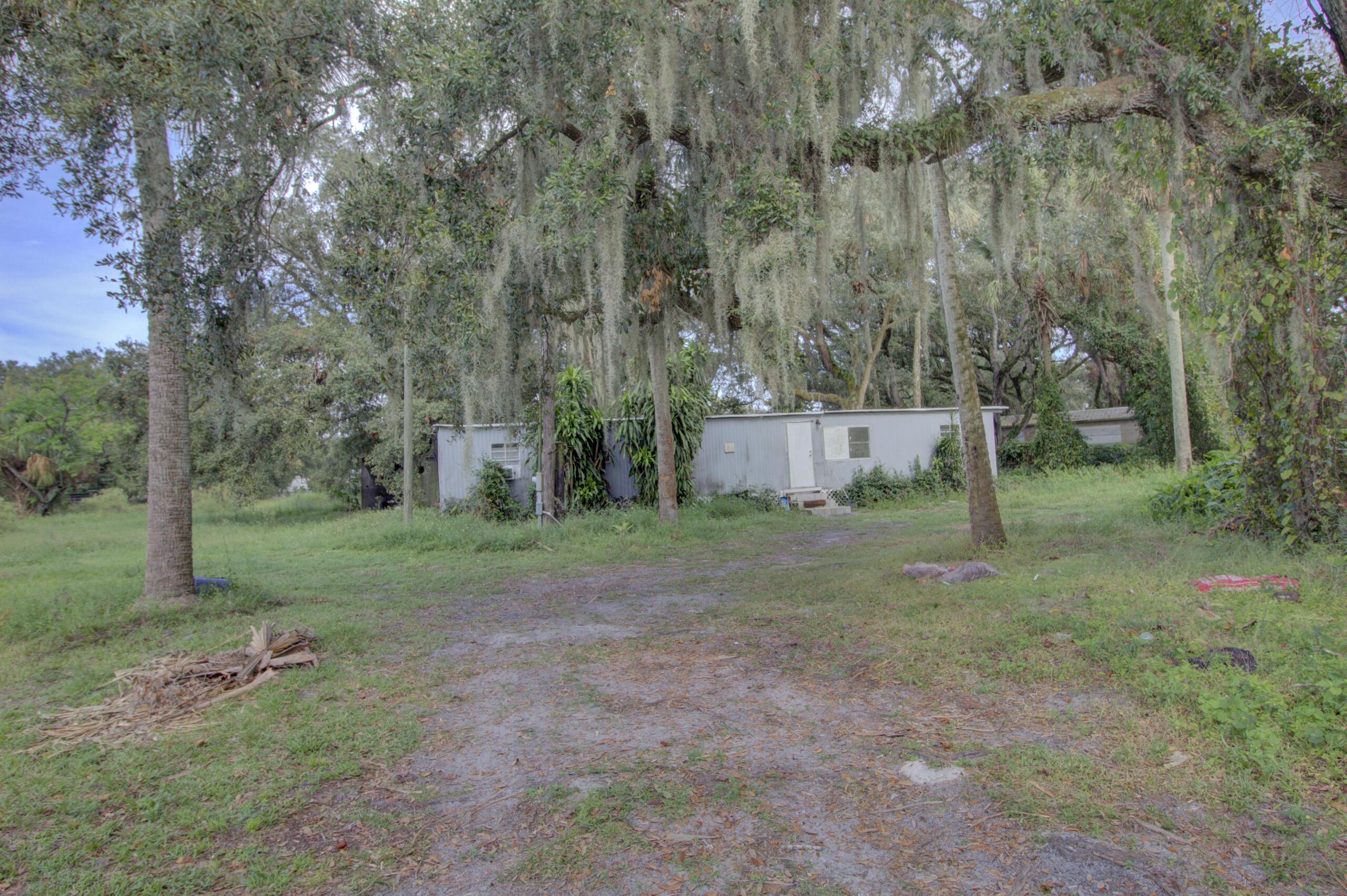 a view of a backyard with large trees