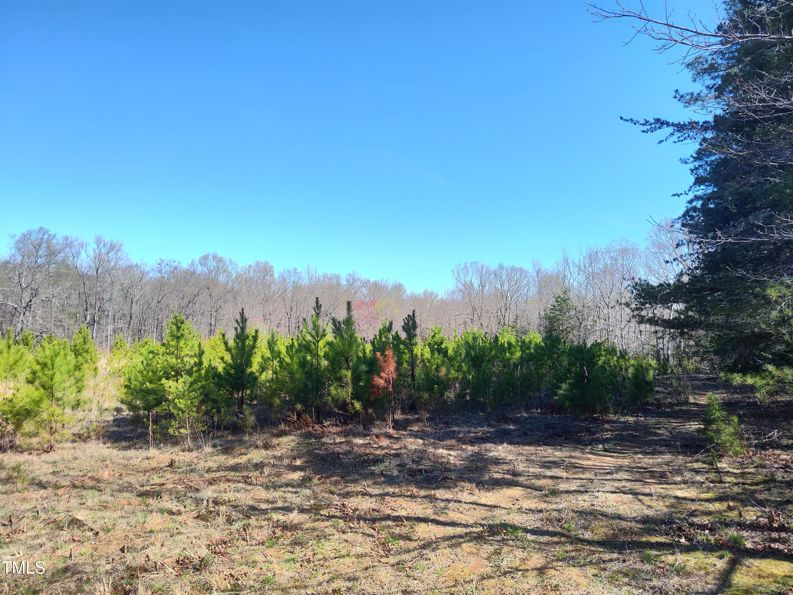 a view of a yard with a tree