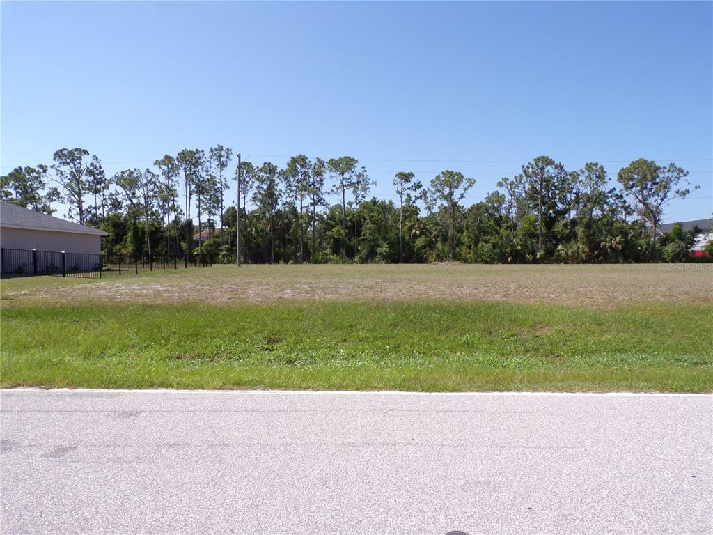 a view of a field with a tree in the background