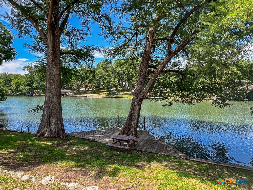 a view of a lake with a tree