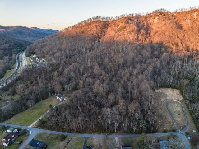 $190,000 | Tbd Orchard Street | Lovingston