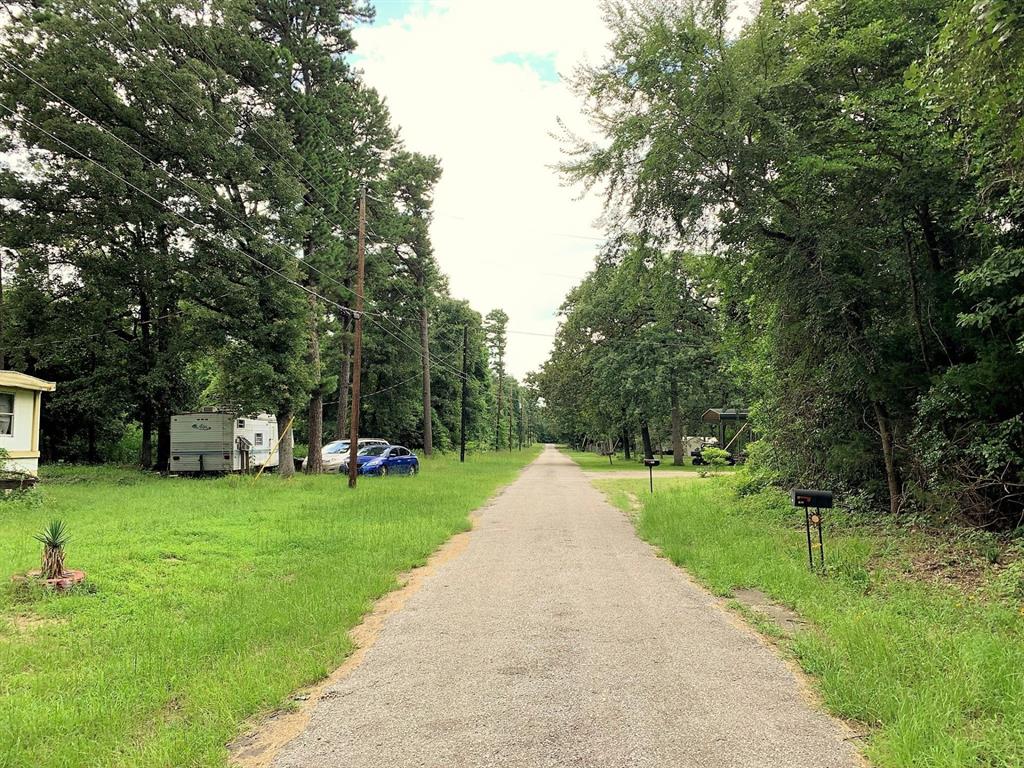 a view of a park with large trees