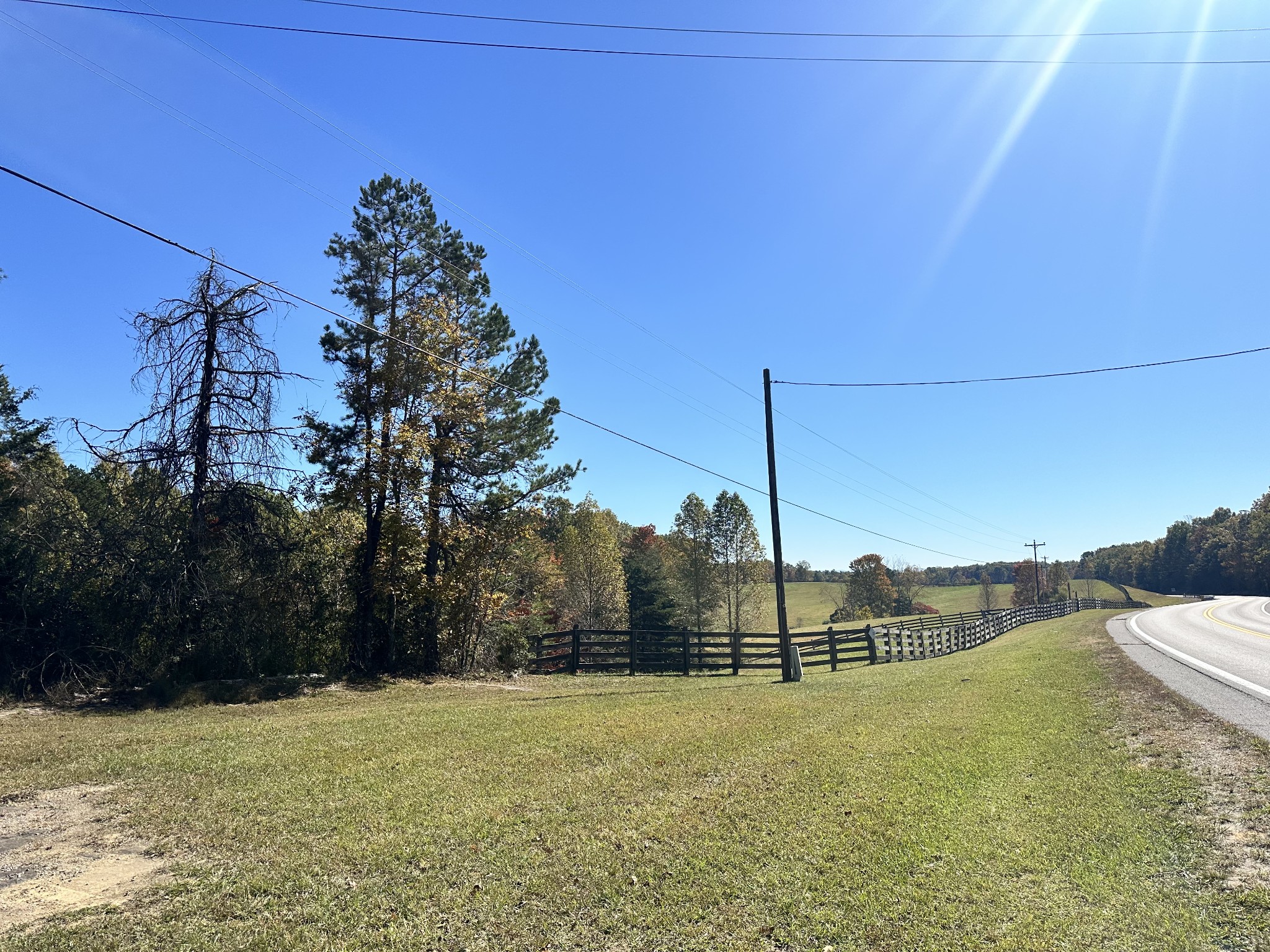 a view of a field with a big yard