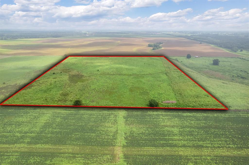 a view of a field with an ocean