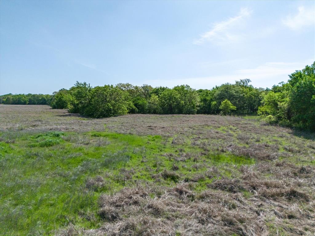 a view of a field with trees in background