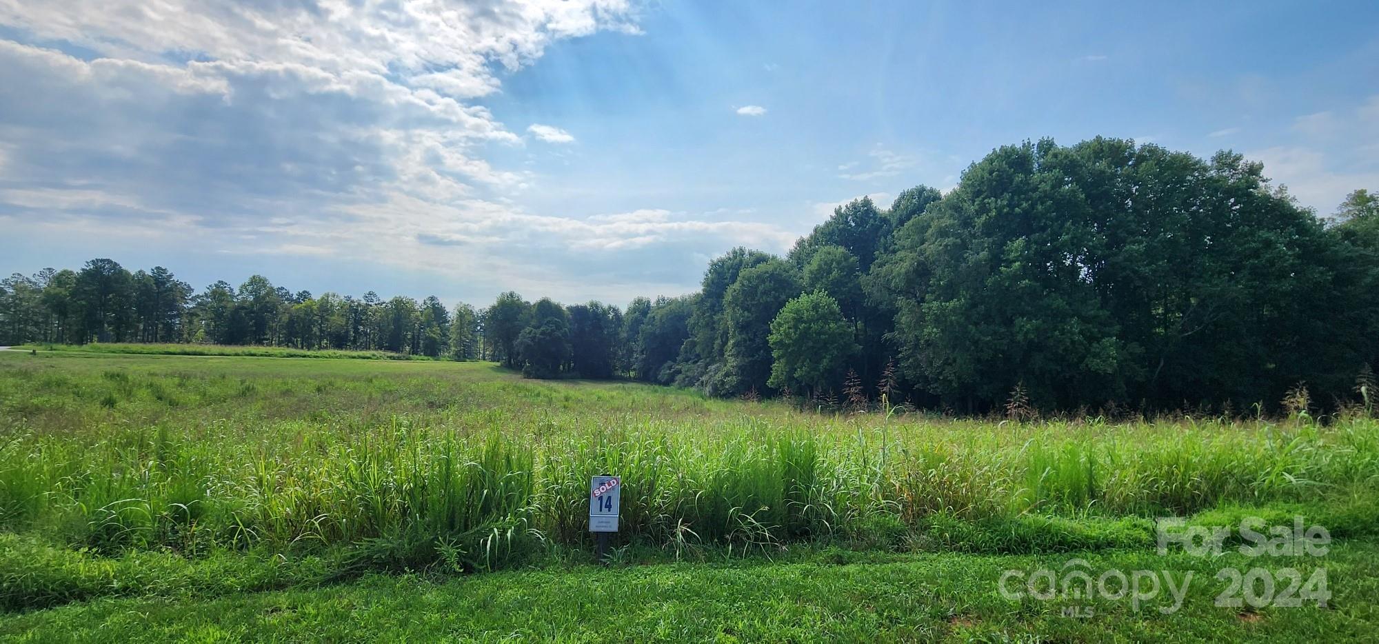 a view of a lush green space