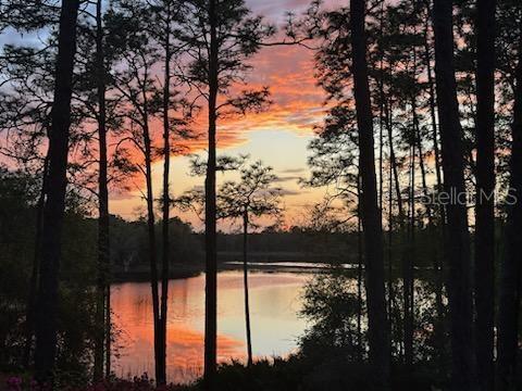 a view of lake from yard