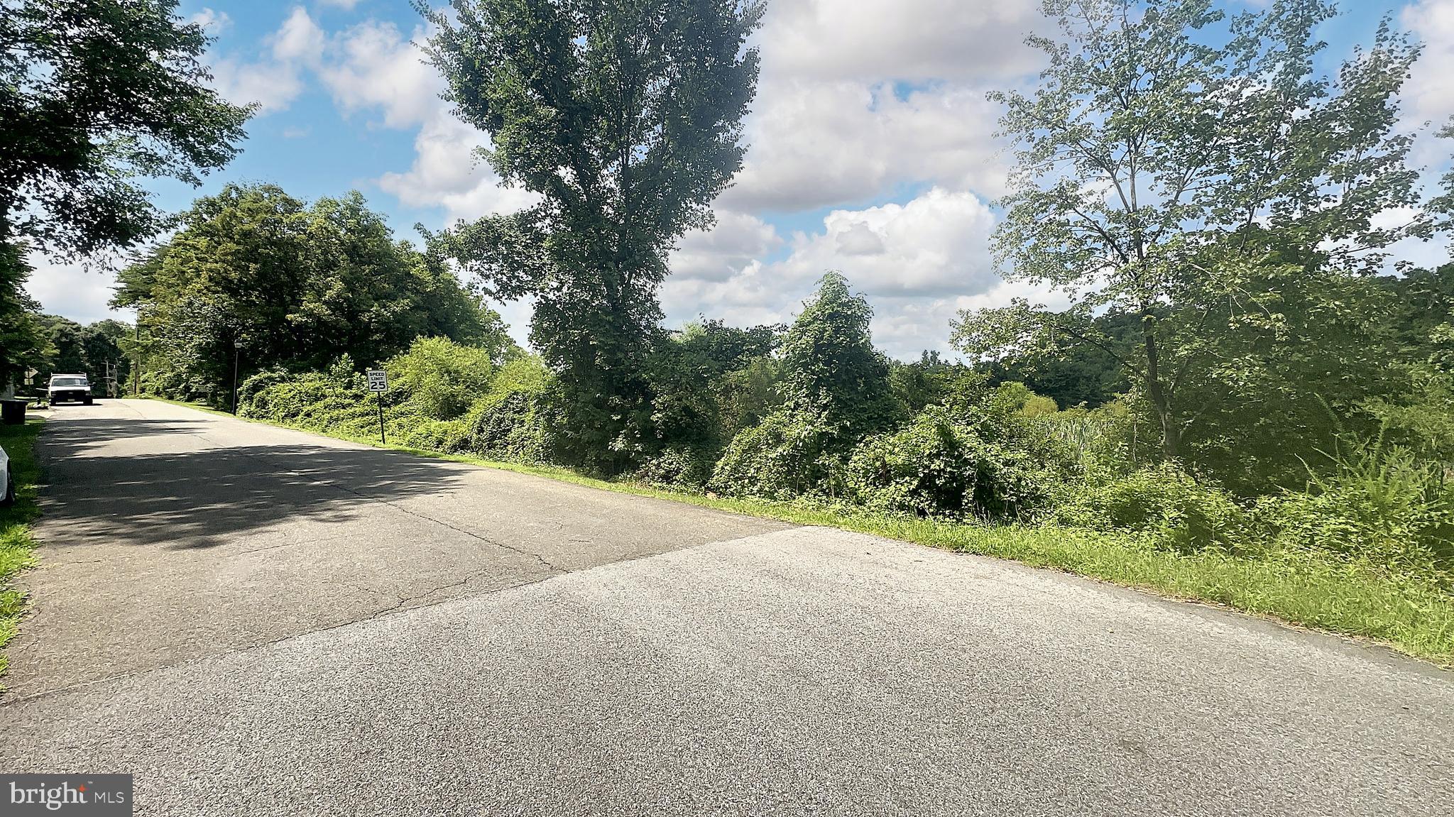 a view of a road with a trees in the background