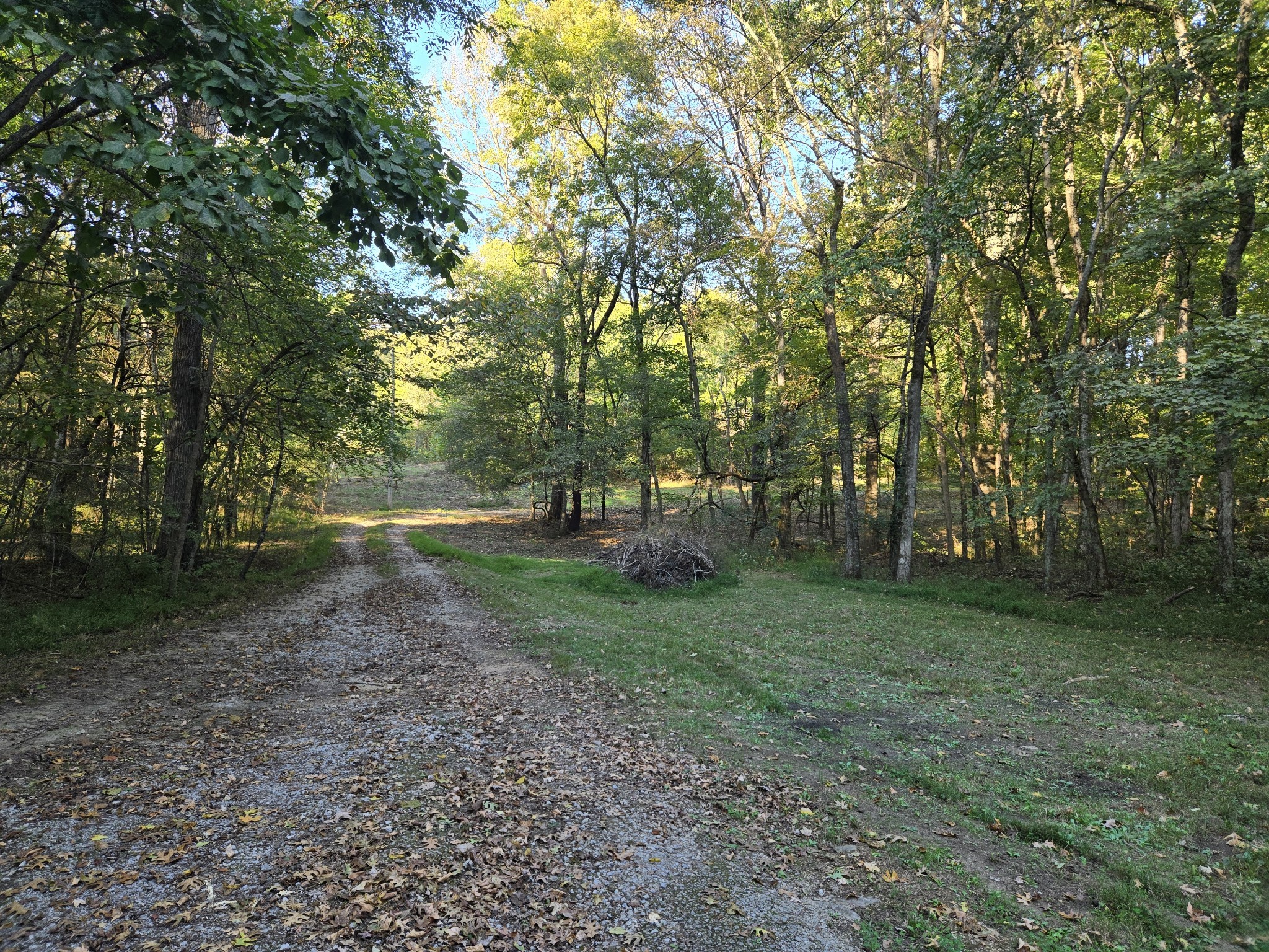 a view of outdoor space with trees