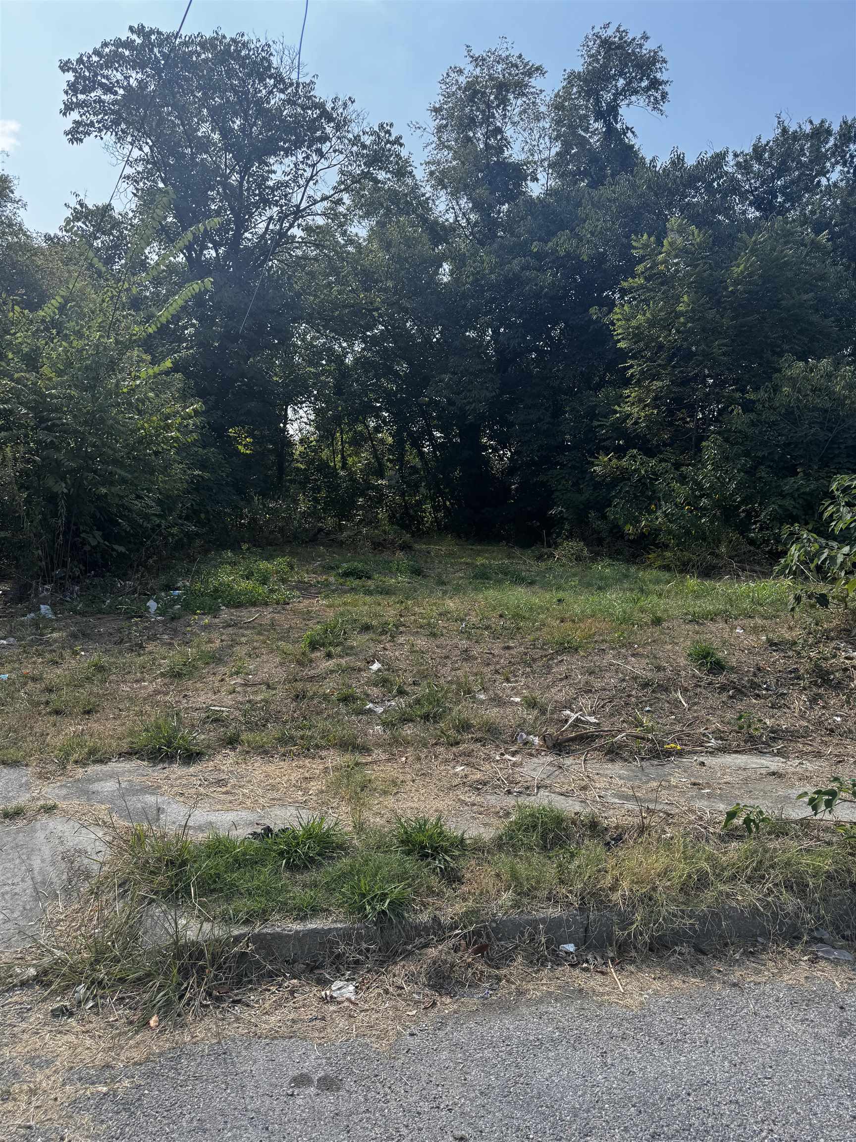 a view of a yard with a trampoline