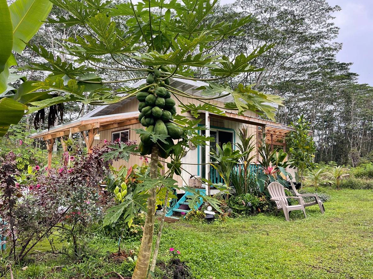 a view of a backyard