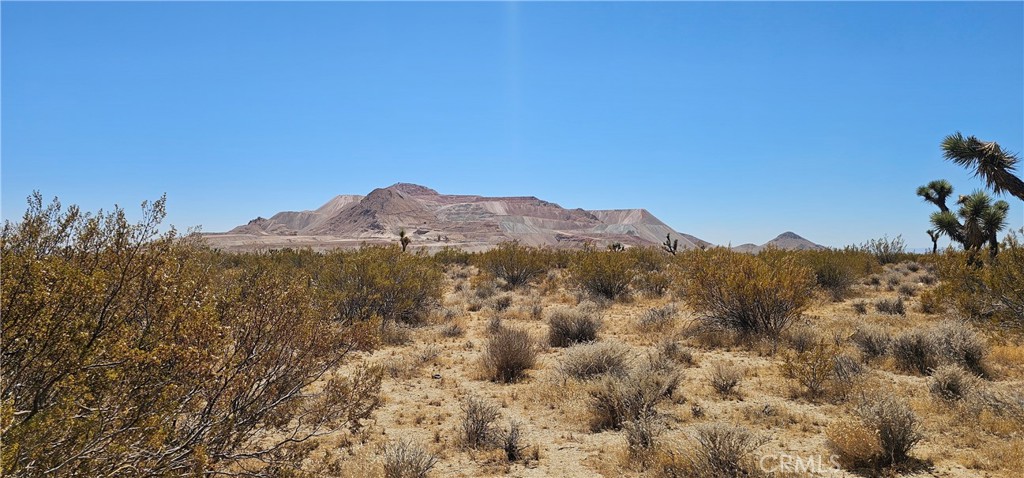 a view of a dry field