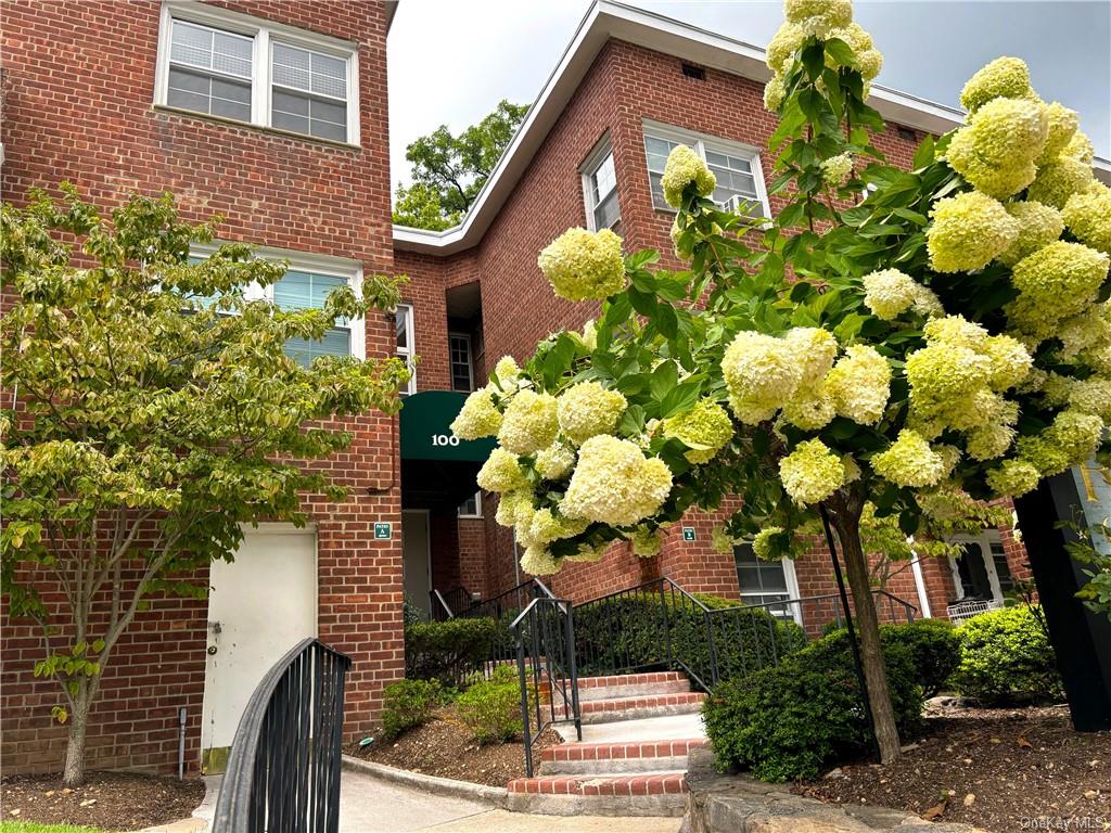 a bunch of flowers in front of building