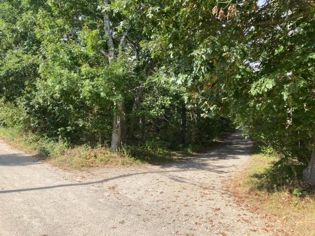 a view of a yard with a tree