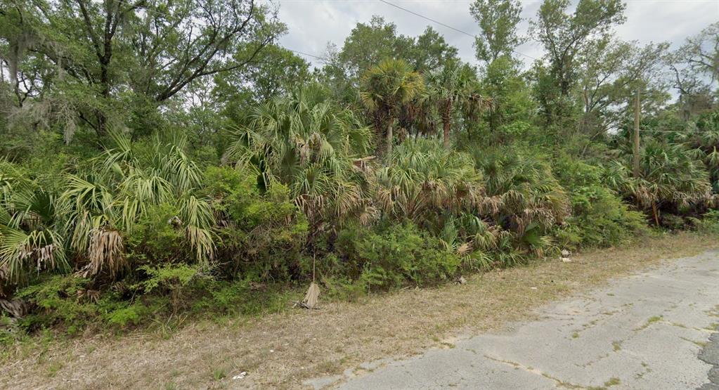 a view of a dry yard