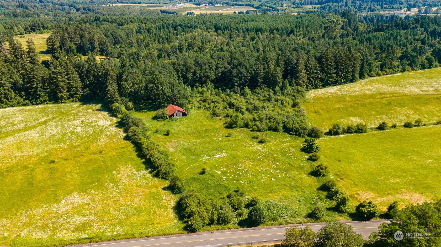 a view of a large yard with green space