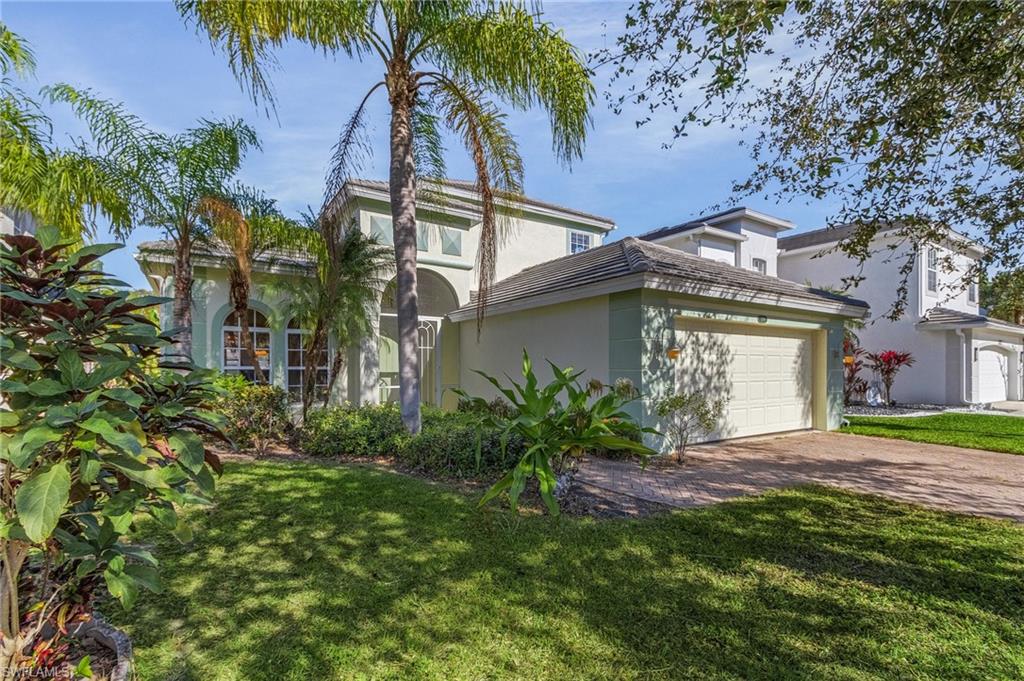 a view of a house with a tree and plants