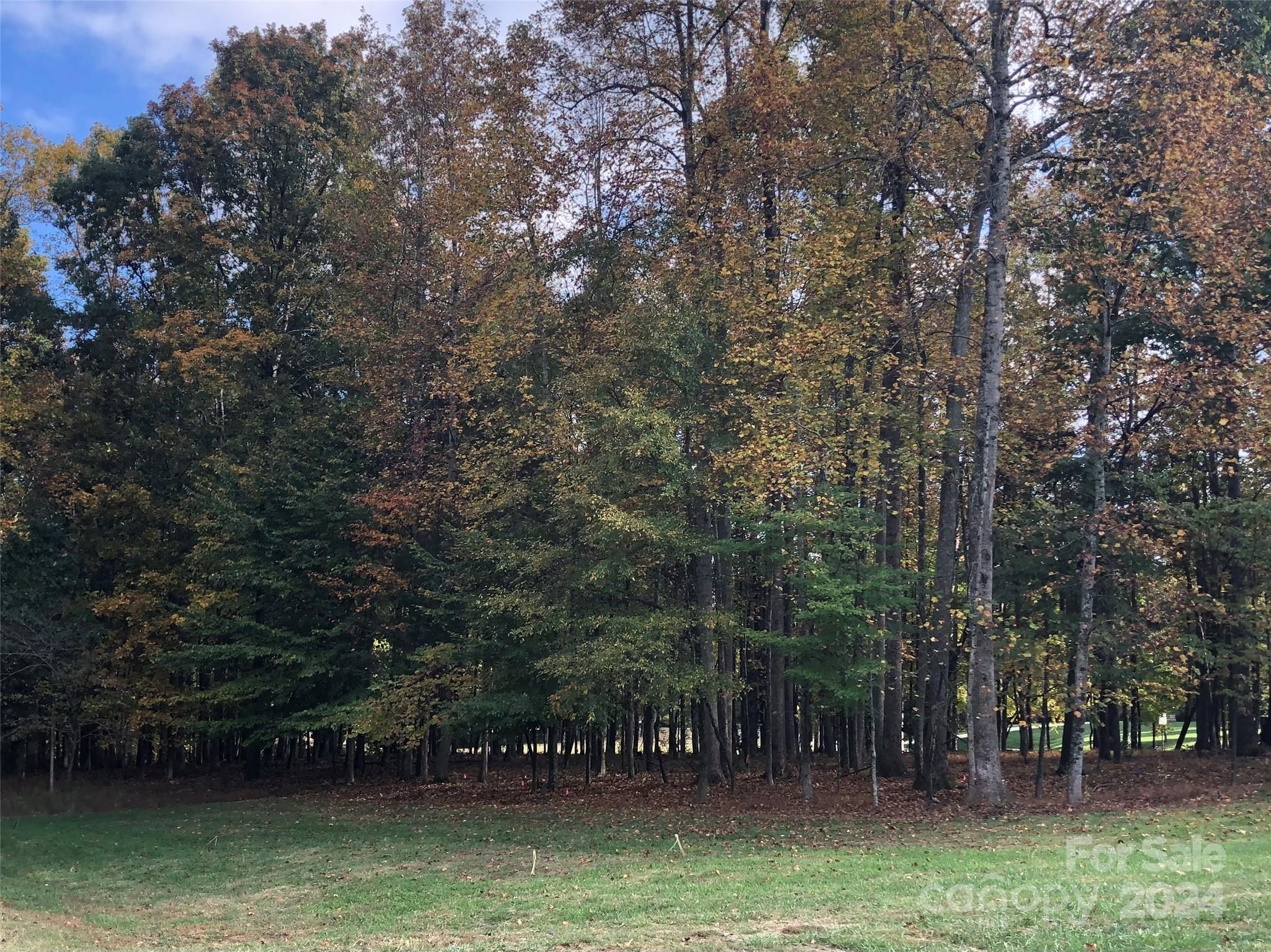 a view of lake with trees