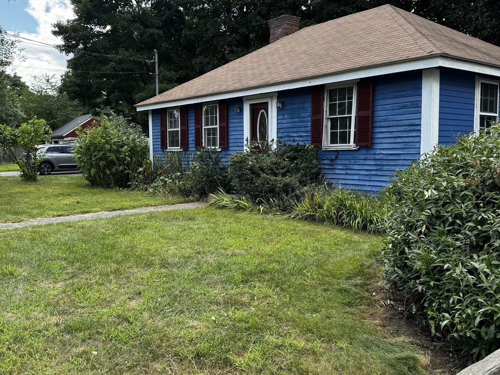 a view of a brick house with a yard plants and large tree