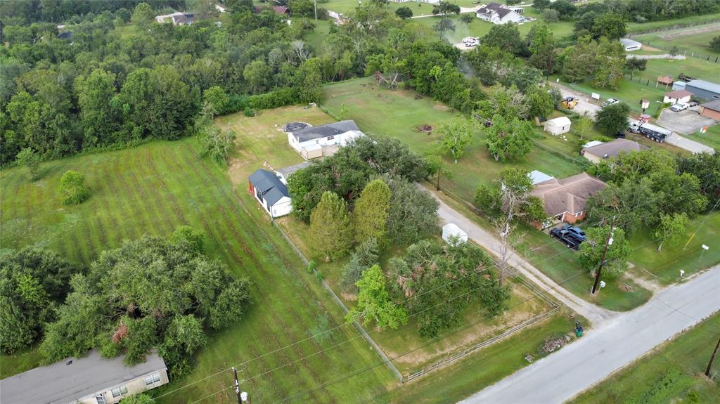 a view of a yard with plants