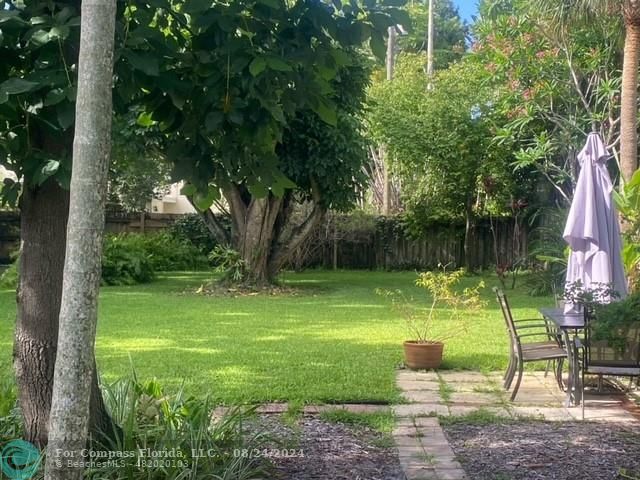 a view of a garden with a tree