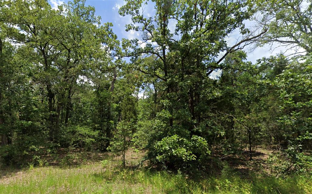 a view of a garden