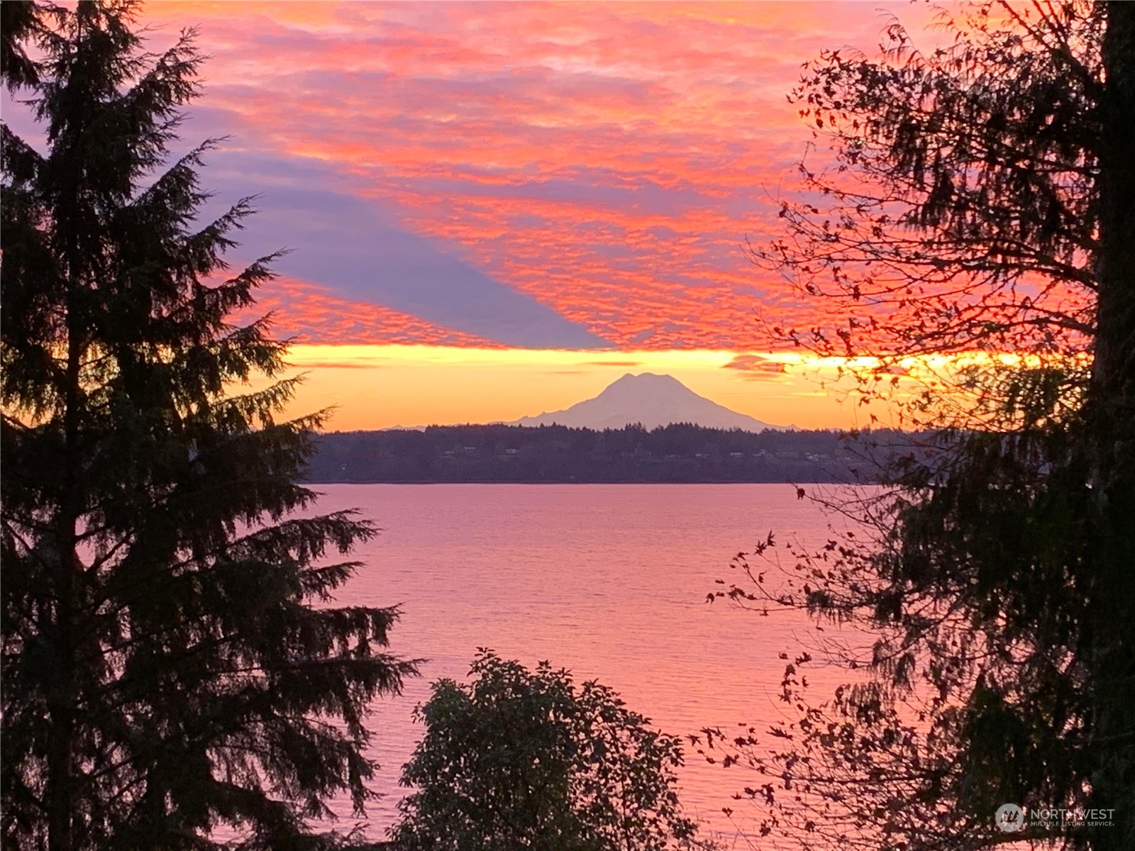 a view of an outdoor of trees and sunset