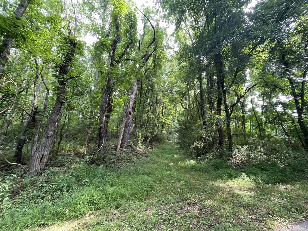 a view of outdoor space and green space