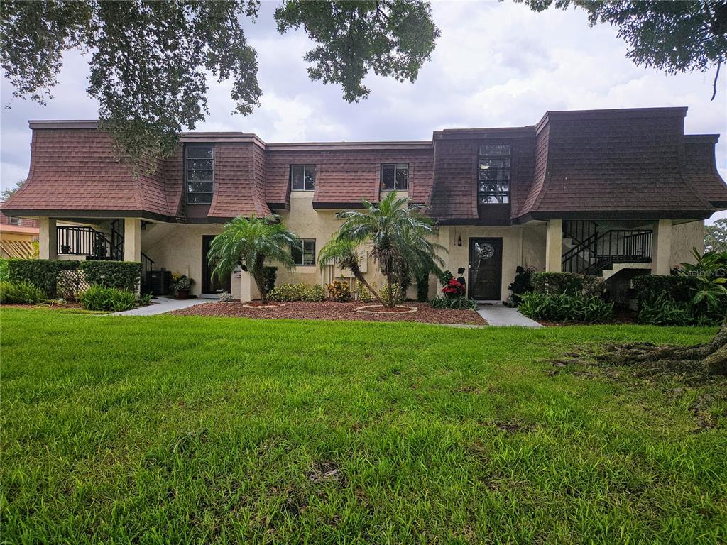 a view of a house with a yard potted plants and a tree