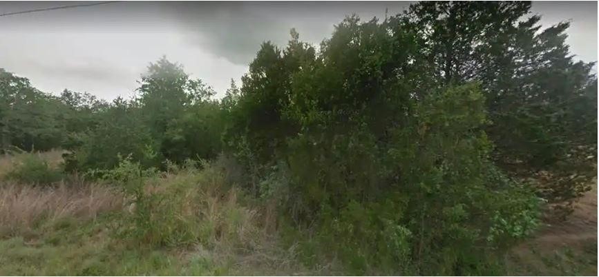 a view of a field of grass and trees