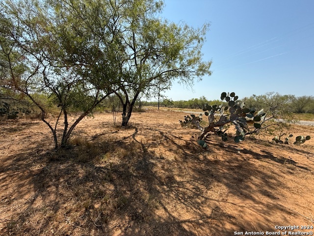 a view of a yard with a tree