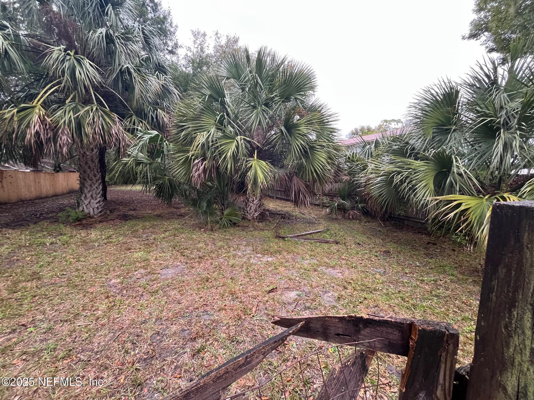 a view of a dry yard with trees