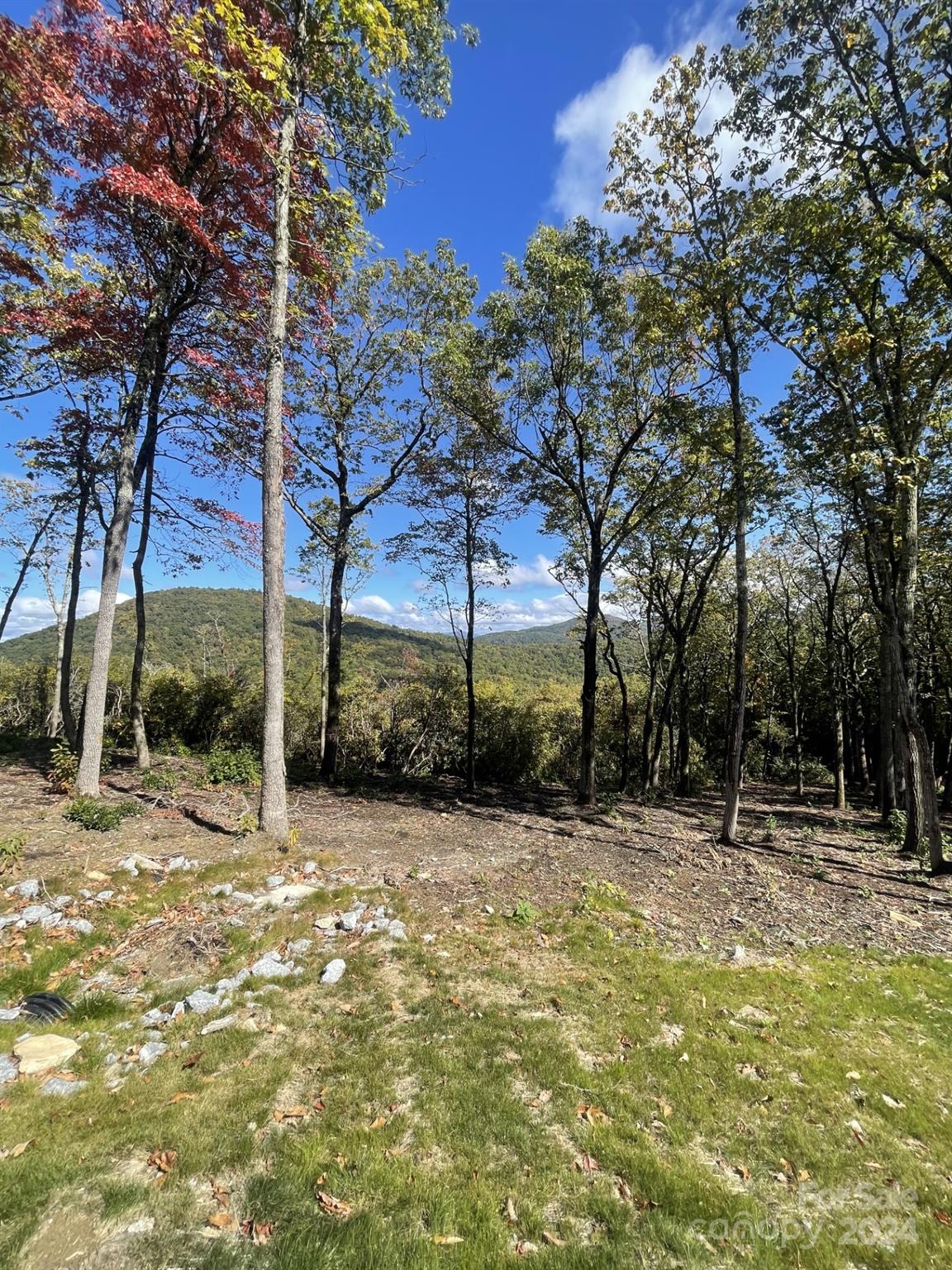 a view of outdoor space with trees