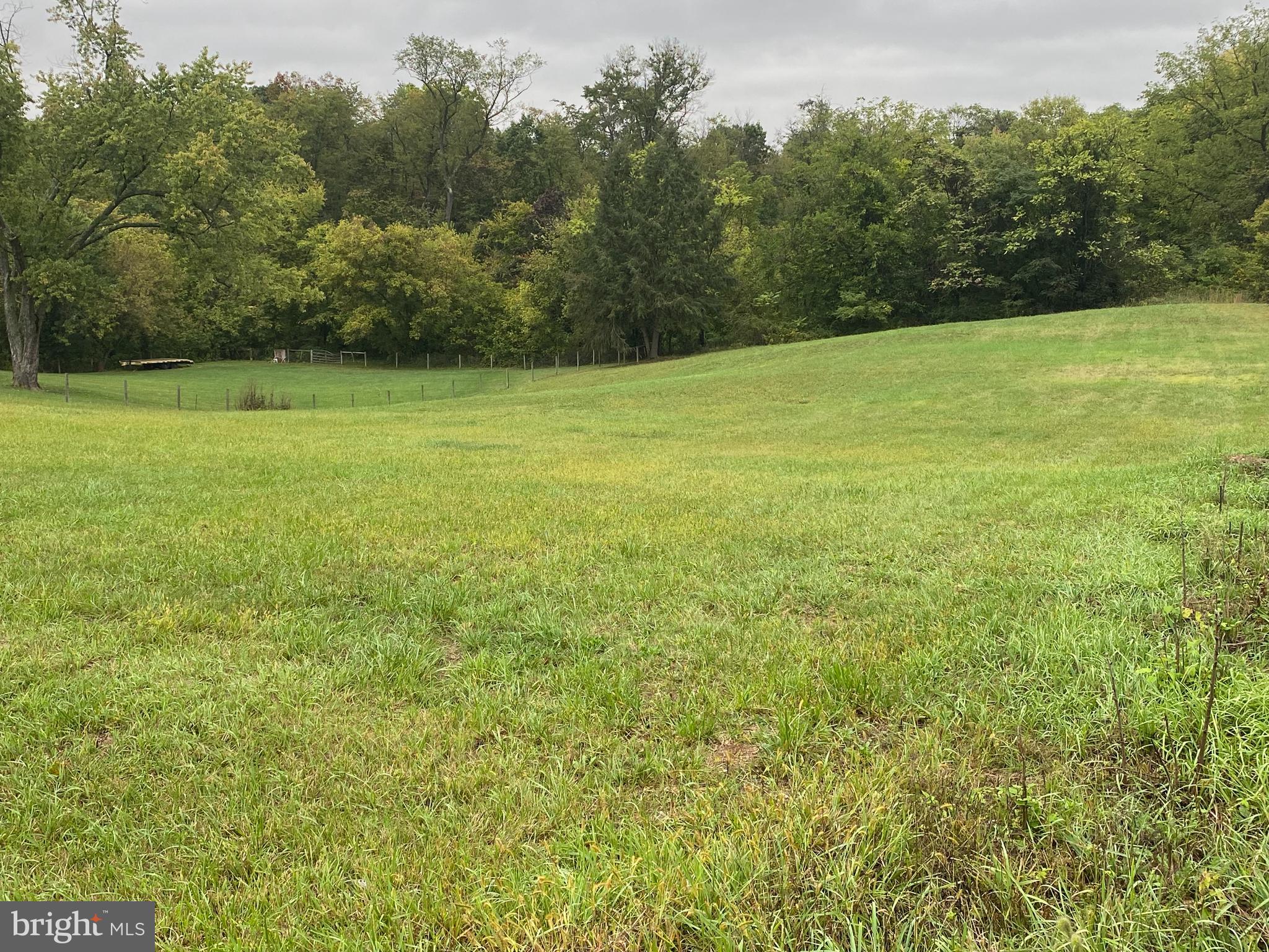 a view of a field with a trees in the background