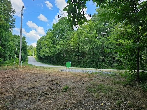 a view of a yard with a tree