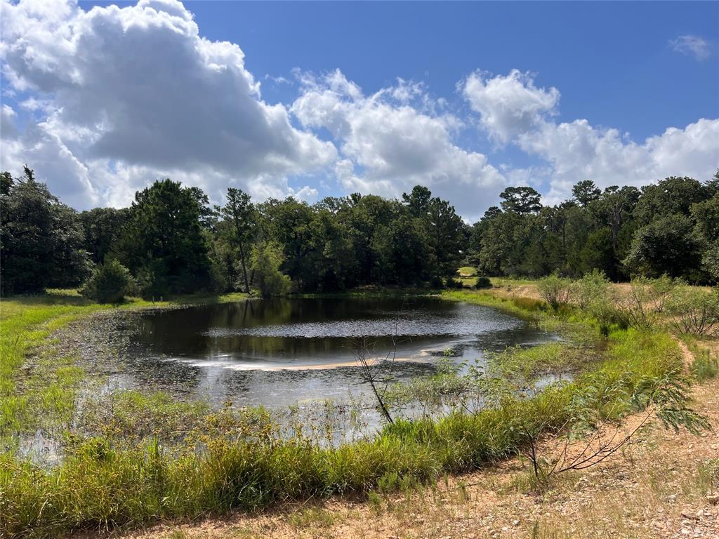 a view of lake with green space