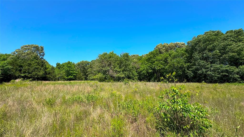 a view of a field with an ocean