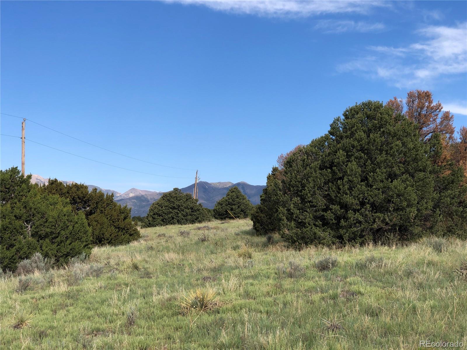 a view of a bunch of trees and bushes